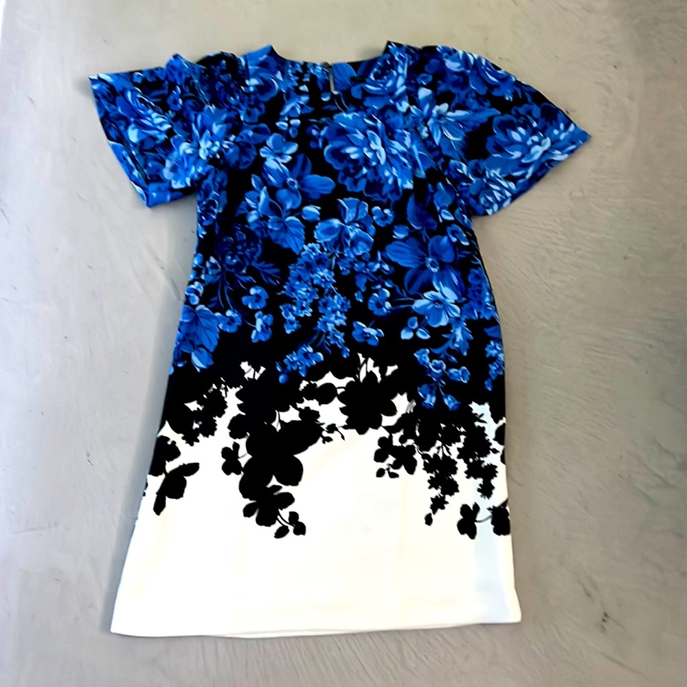 Ann Taylor, blue floral dress